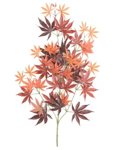 ARALIA NEW ZWEIG *44