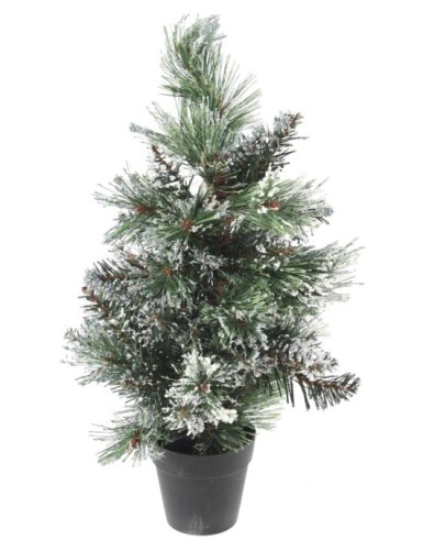 TANNE MINI (Weihnachtsbaum)...