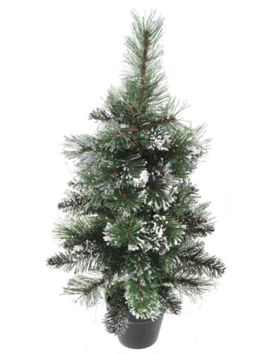 TANNE MINI (Weihnachtsbaum)...