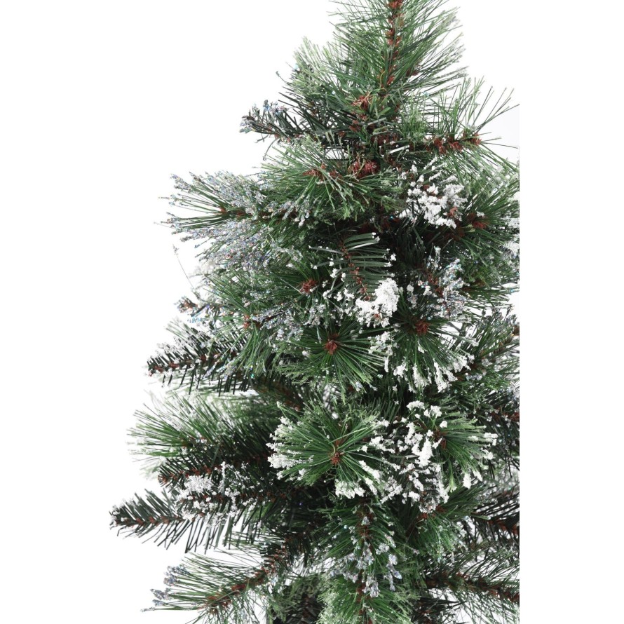 TANNE MINI (Weihnachtsbaum) FINLEY BEREIFT