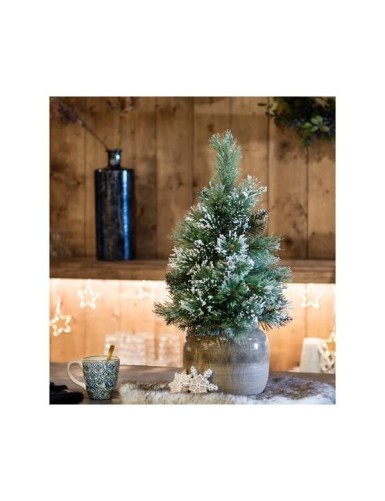 TANNE MINI (Weihnachtsbaum) FINLEY BEREIFT