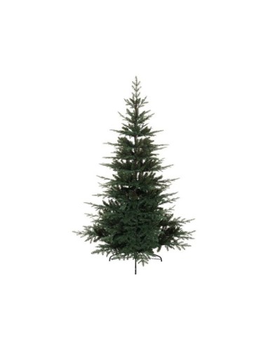 TANNE (Weihnachtsbaum)...