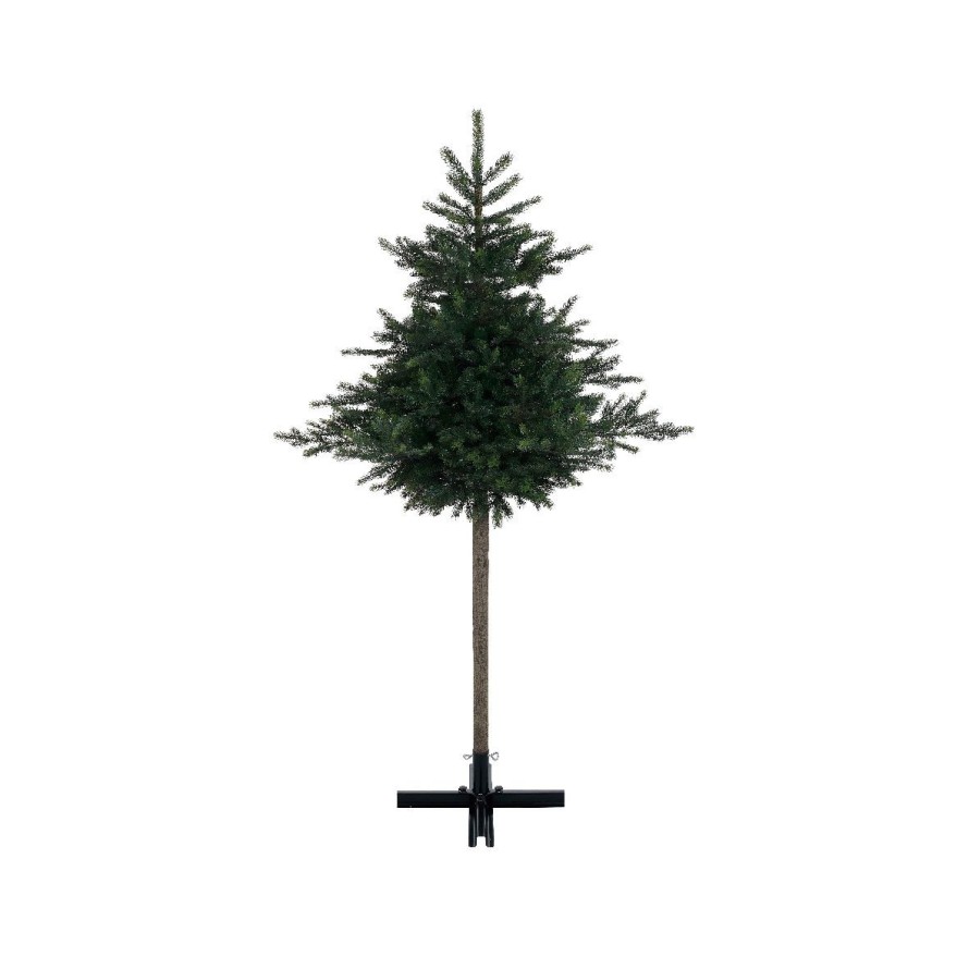 TANNE GRANDIS (Weihnachtsbaum) STAMM
