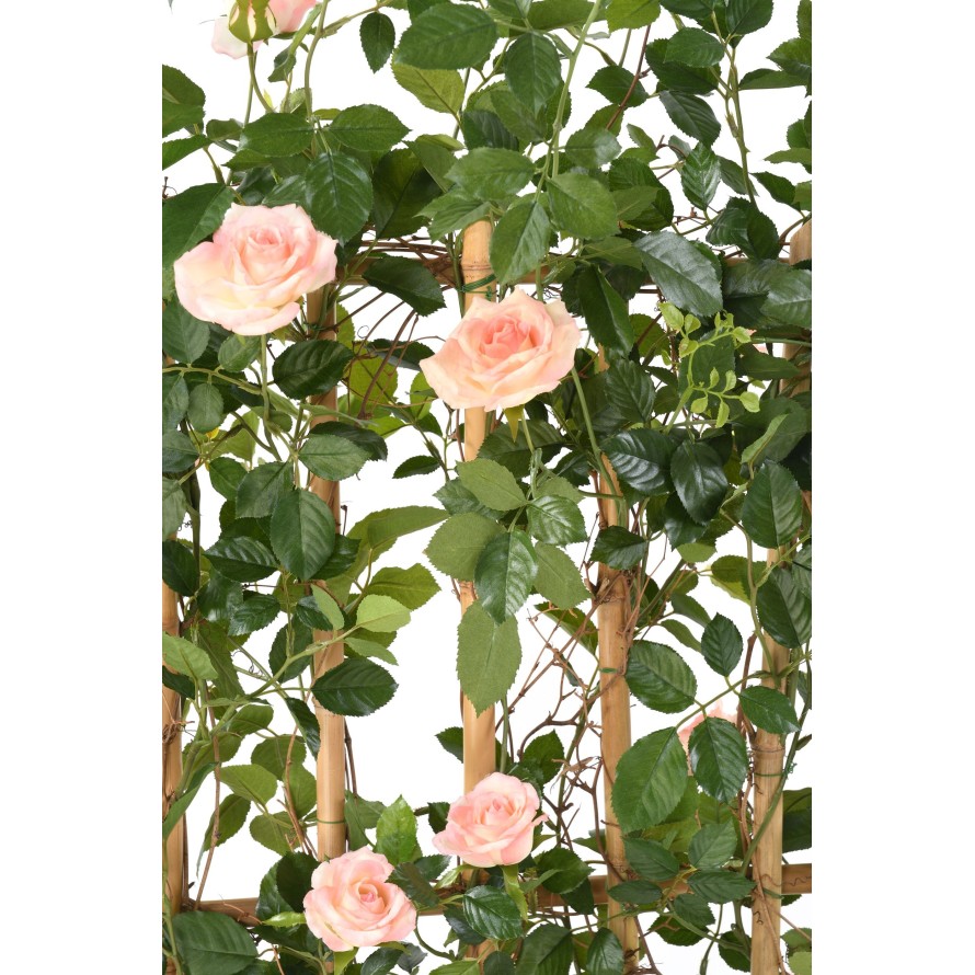 ROSE (Königin der) SICHTSCHUTZMATTE GROSS