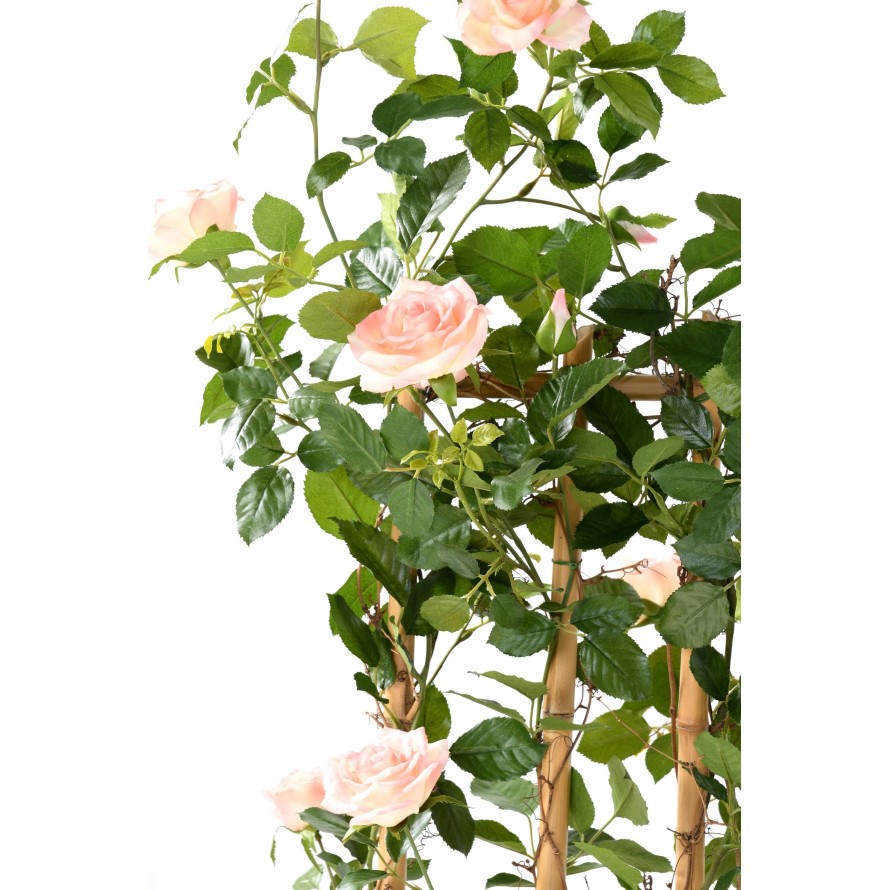 ROSE (Königin der) SICHTSCHUTZMATTE GROSS