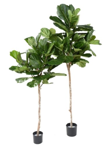 LYRATA STÄNGEL KRONE