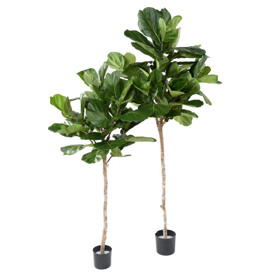 LYRATA STÄNGEL KRONE