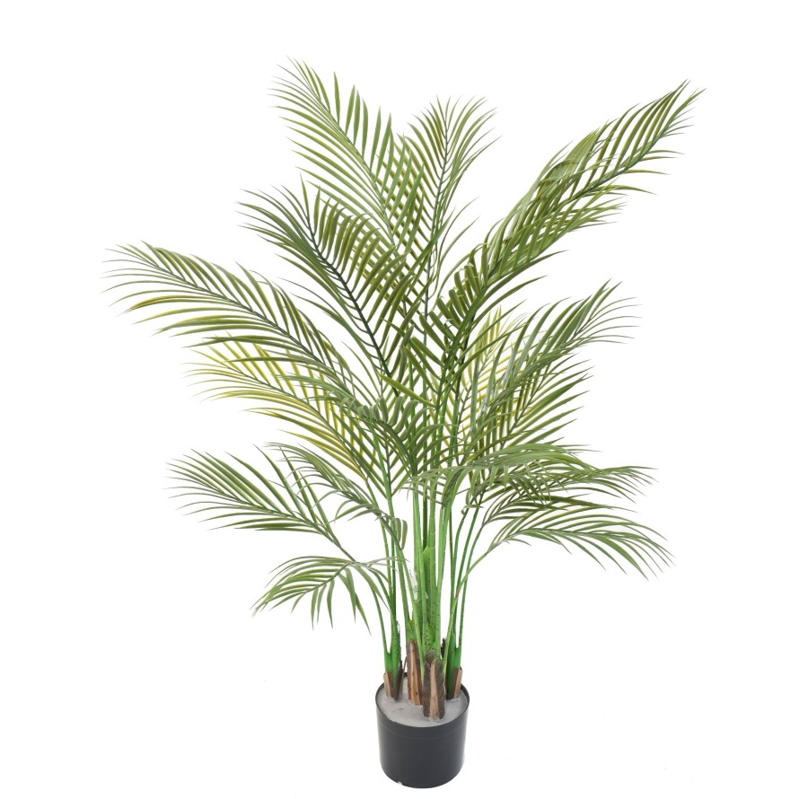 ARECA PALM MULTI TREE