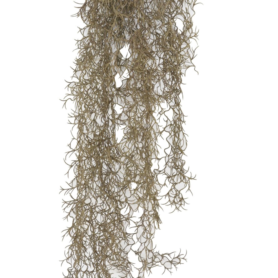 TILLANDSIA COLGANTE 95