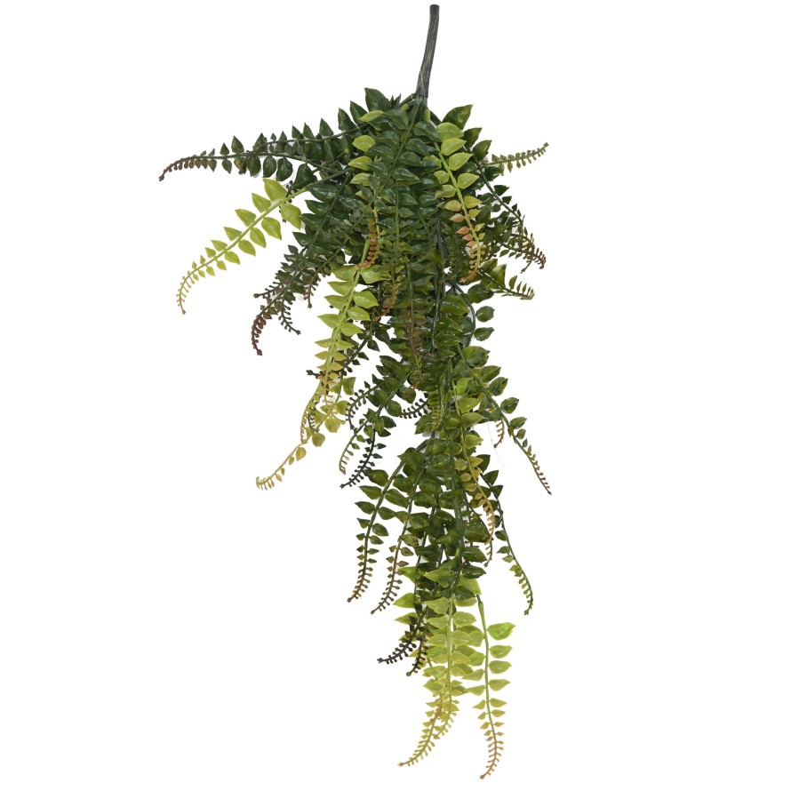 FERN HANGING BUSH 55