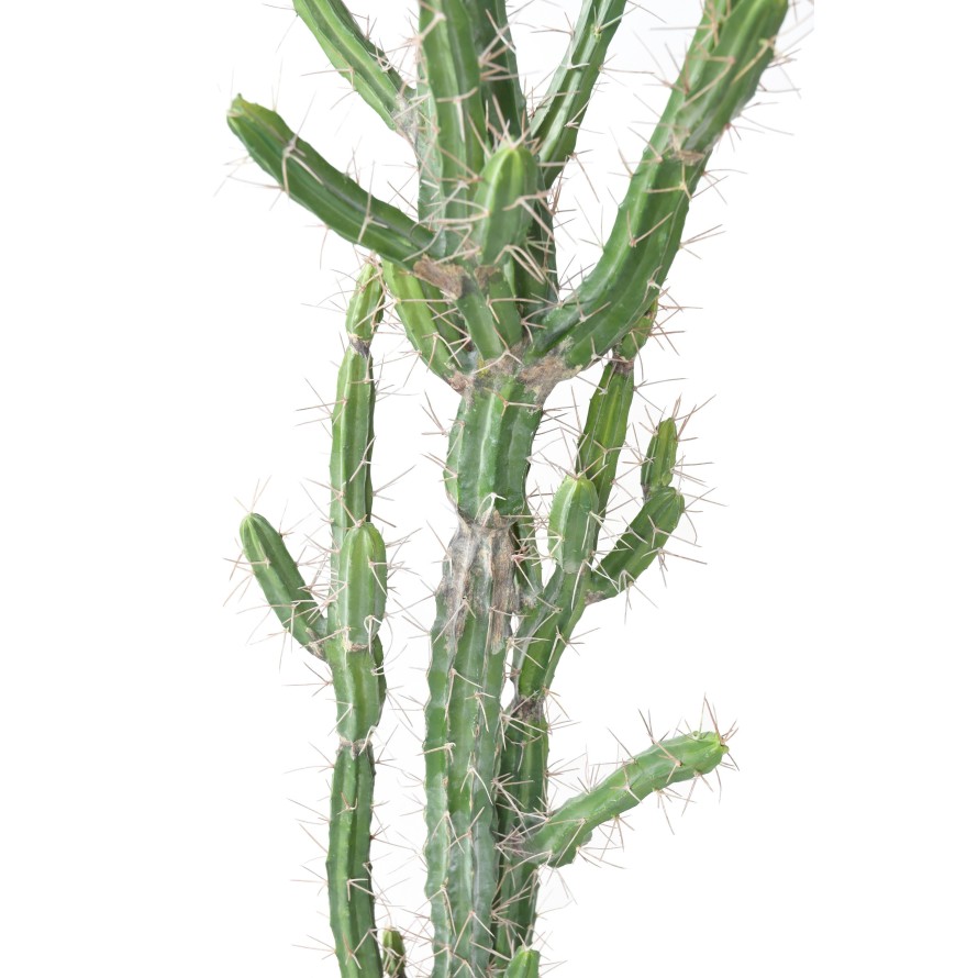 CACTUS FINGER F