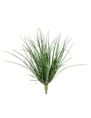 HIERBA LADY RESISTENTE A...