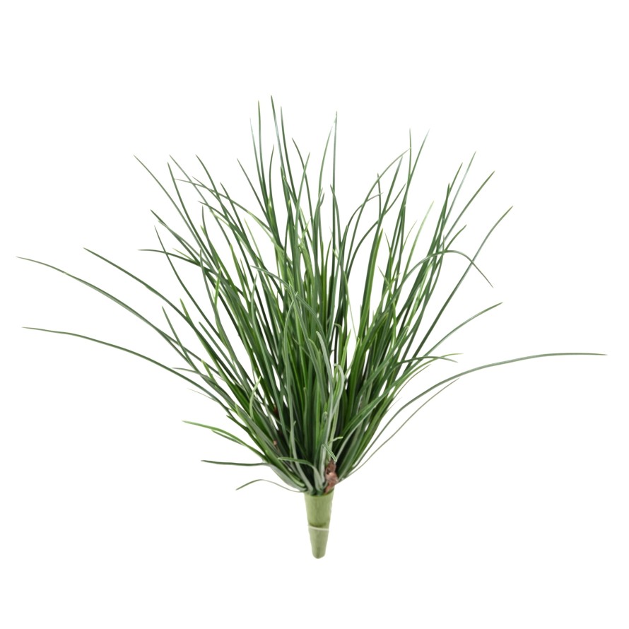 HIERBA LADY RESISTENTE A LOS RAYOS UV