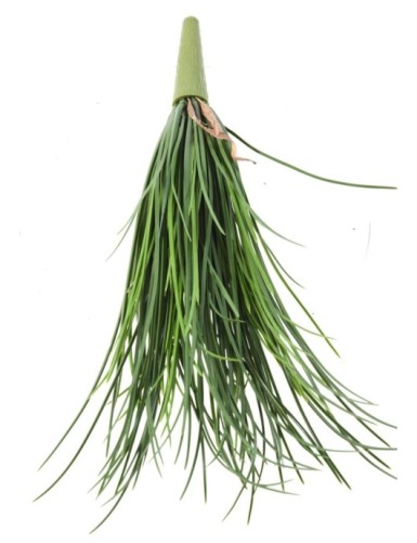 HIERBA LADY RESISTENTE A LOS RAYOS UV