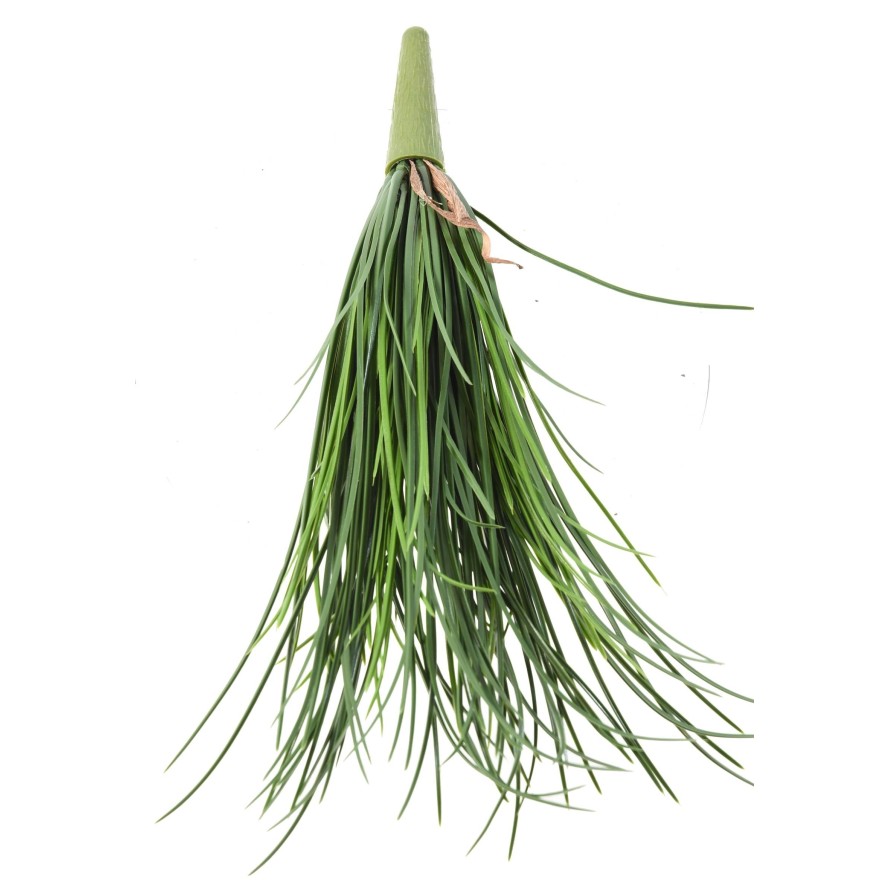 HIERBA LADY RESISTENTE A LOS RAYOS UV