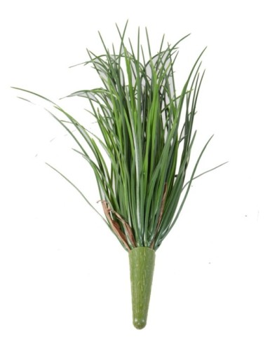 HIERBA LADY RESISTENTE A LOS RAYOS UV