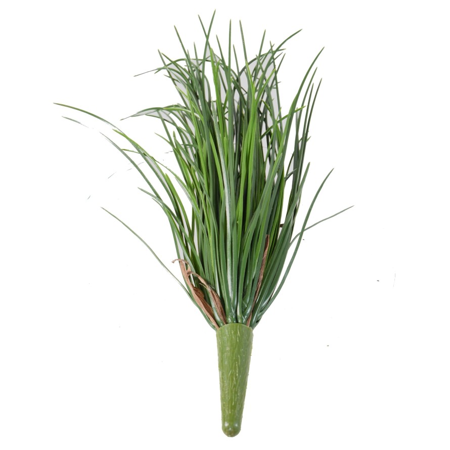 HIERBA LADY RESISTENTE A LOS RAYOS UV