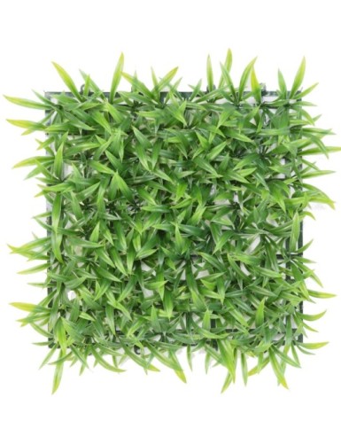 GRAS GROSS PLATTE UV