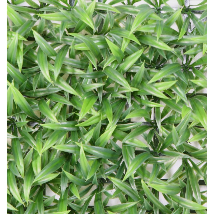 GRAS GROSS PLATTE UV