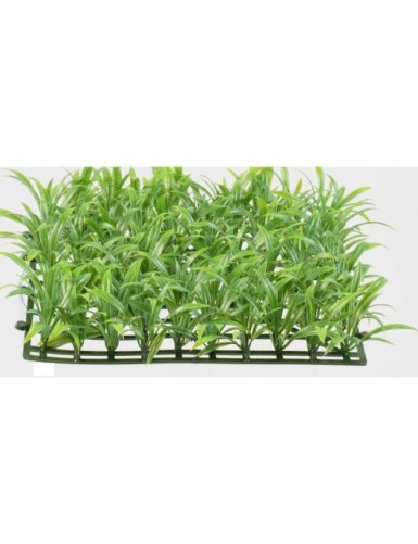 GRAS GROSS PLATTE UV