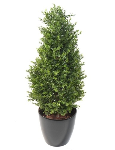 BUCHSBAUM RED DAY FORMSCHNITT UV