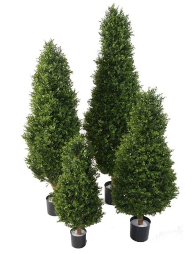 BUCHSBAUM RED DAY...