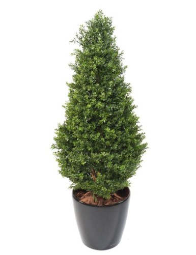 BUCHSBAUM RED DAY FORMSCHNITT UV