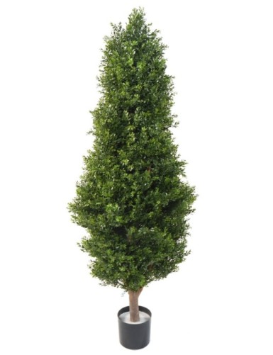 BOJ RED DAY TOPIARIO RESISTENTE A LOS RAYOS UV