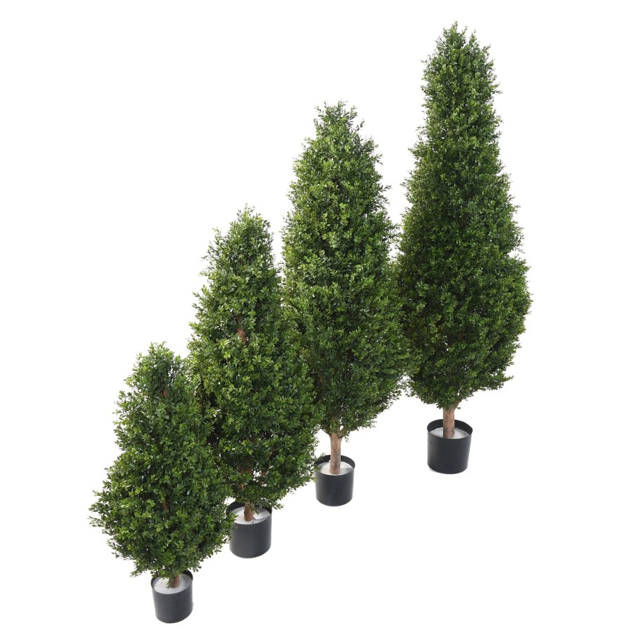 BOJ RED DAY TOPIARIO RESISTENTE A LOS RAYOS UV