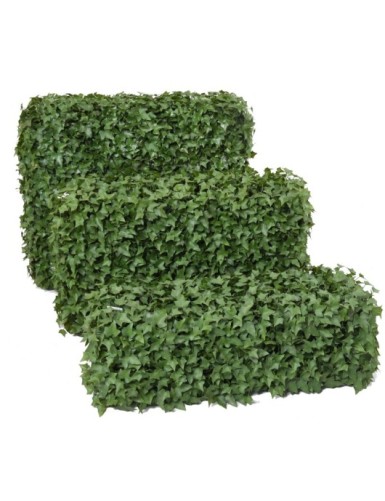 HIEDRA SETO RESISTENTE A LOS RAYOS UV