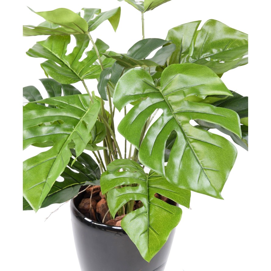 PHILODENDRON MONSTERA TOPF