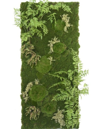 JARDÍN VERTICAL CON PLANTAS...