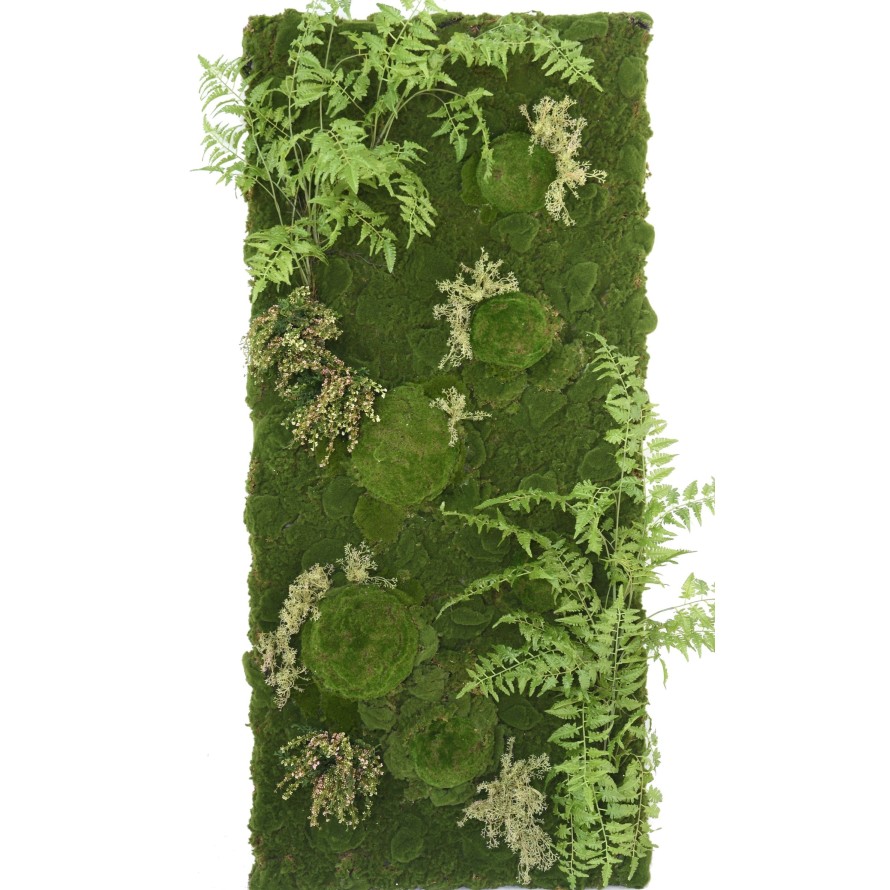 JARDÍN VERTICAL CON PLANTAS HELECHO MUSGO