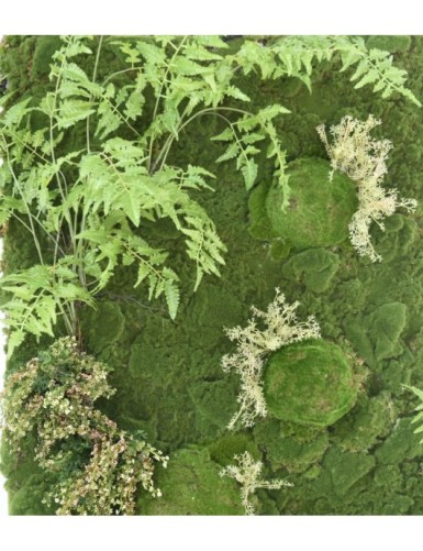 JARDÍN VERTICAL CON PLANTAS HELECHO MUSGO