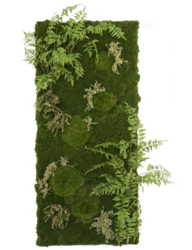 JARDÍN VERTICAL CON PLANTAS HELECHO MUSGO