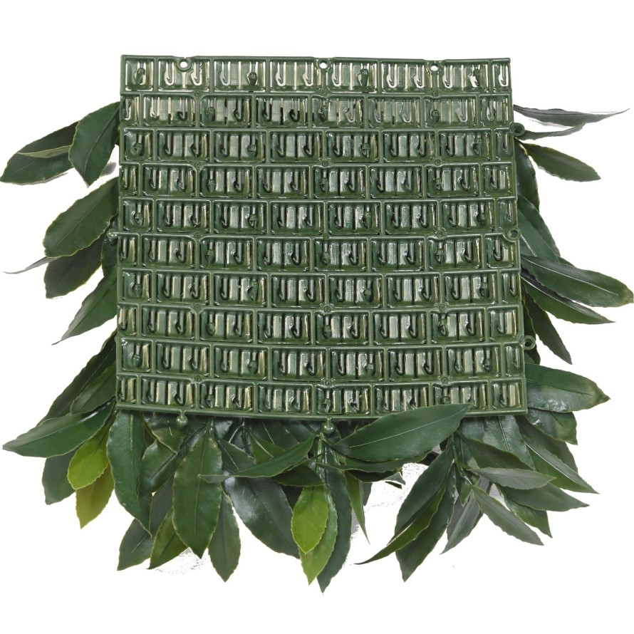 LORBEERBAUM NOBILIS PLATTE UV