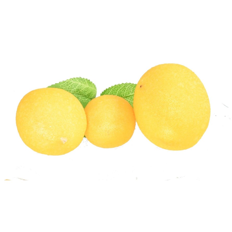 LIMONES malla de 6