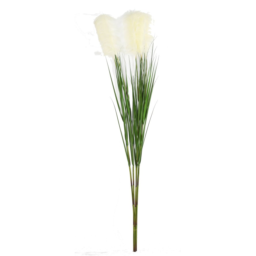 CAREX VULPINA (im 12er-Pack erhältlich)