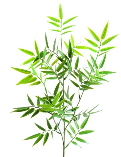 BAMBÚ JAPONÉS PLÁST. RAMA...