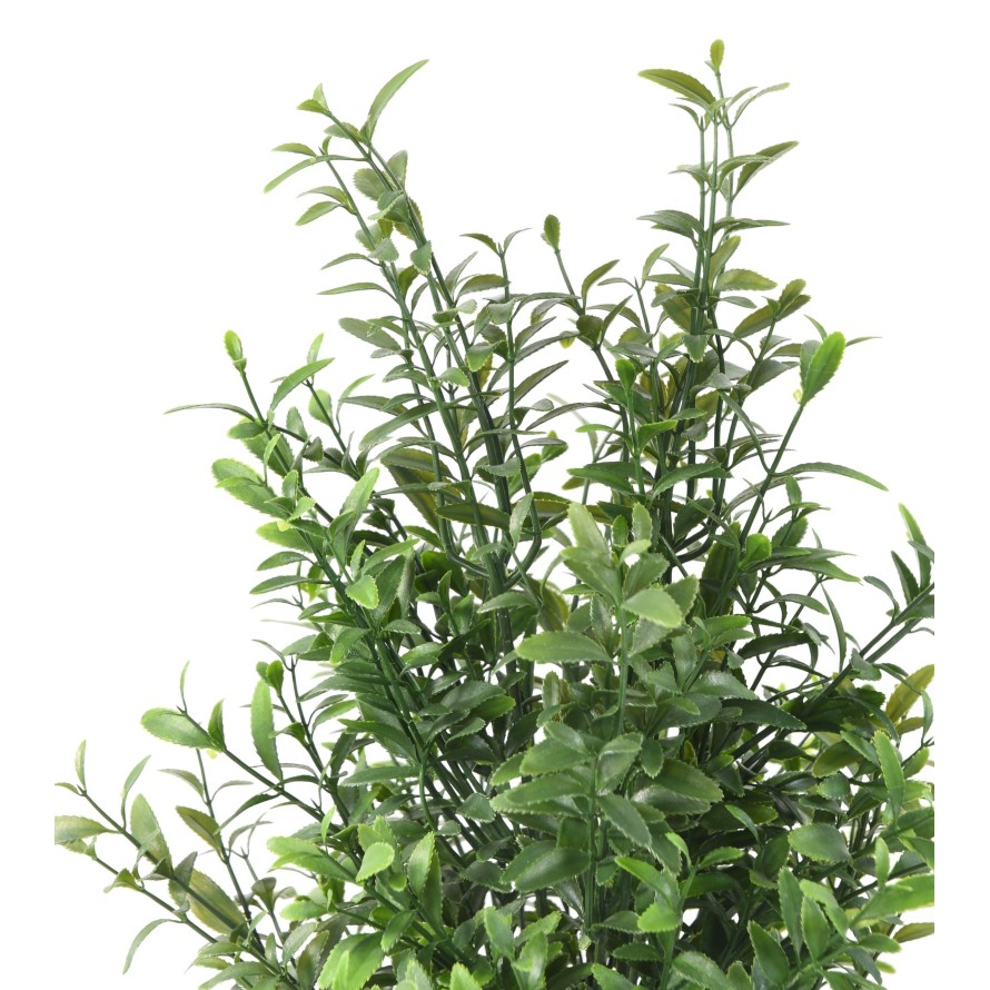 SALVIA RESISTENTE A LOS RAYOS UV