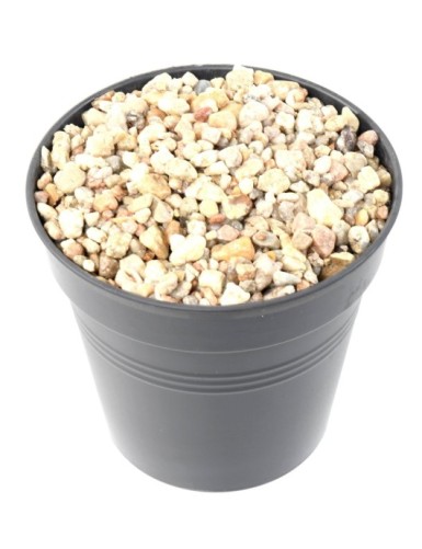 CAPA DECORATIVA DE CANTOS...