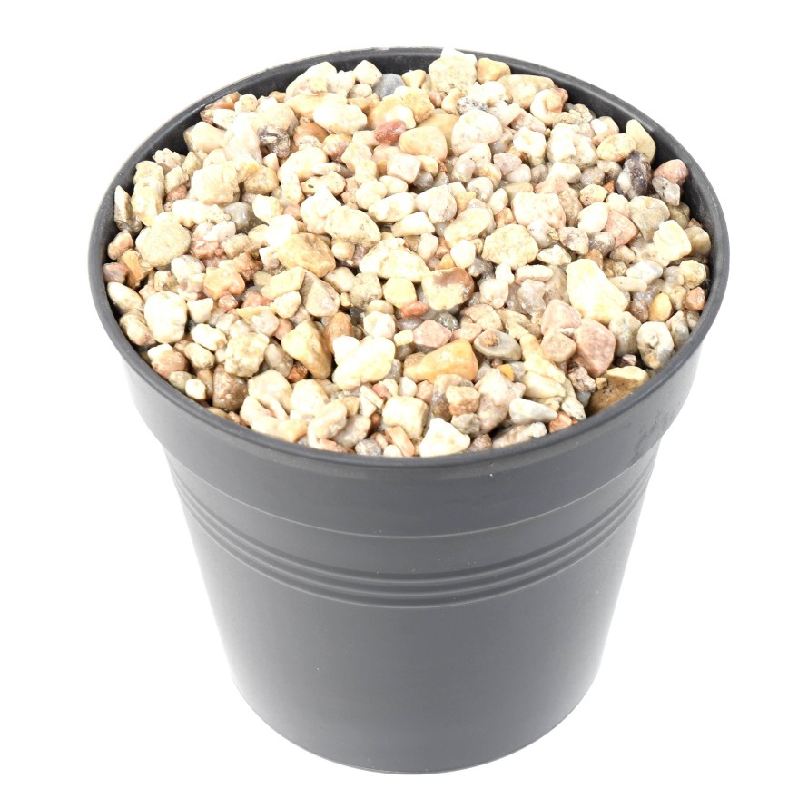 CAPA DECORATIVA DE CANTOS MULTICOLORES