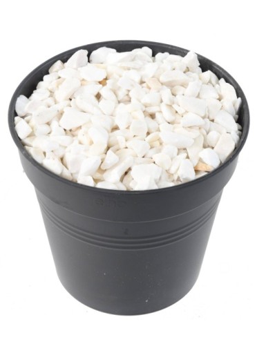 CAPA DECORATIVA DE CANTOS...