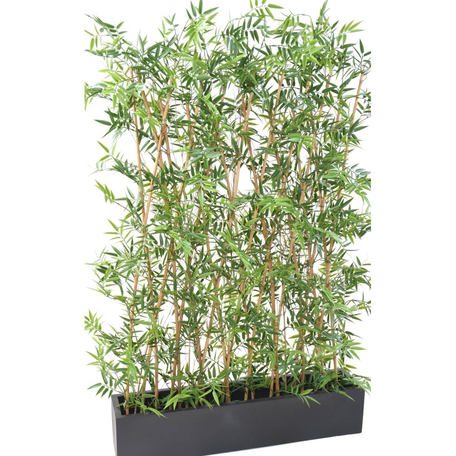 BAMBÚ JAPONÉS SETO EN JARDINERA