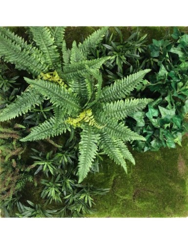 JARDÍN VERTICAL CON PLANTAS C1