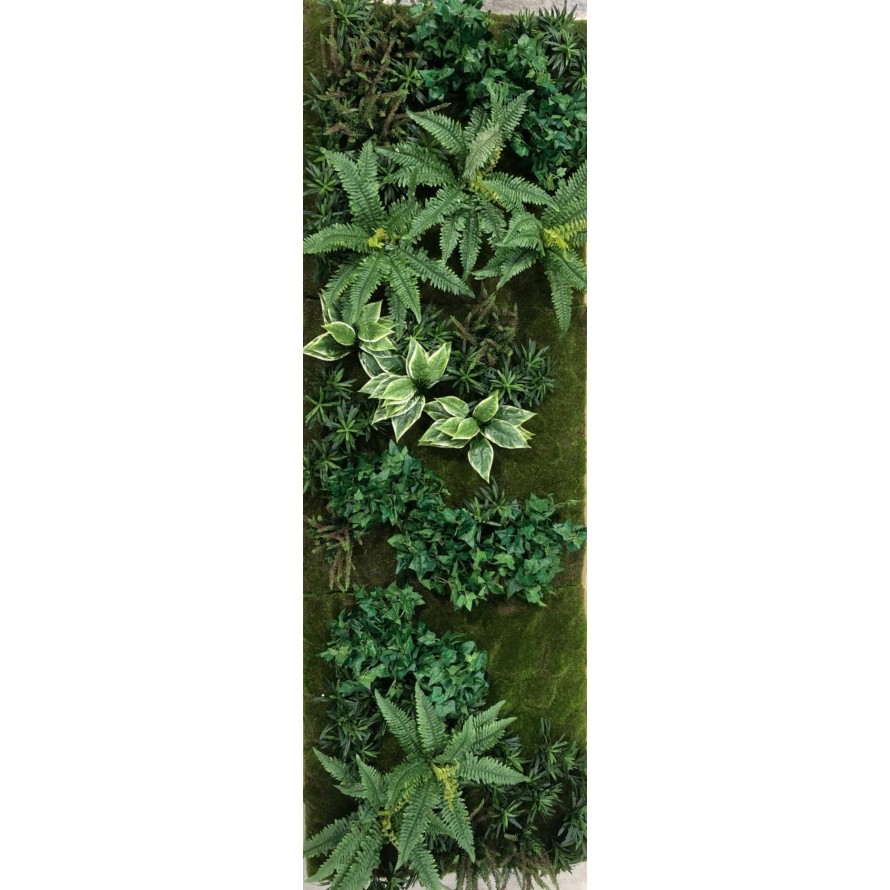 GREEN WALL C1