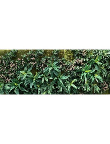 JARDÍN VERTICAL CON PLANTAS C1