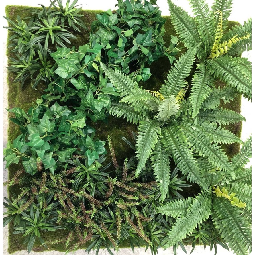 JARDÍN VERTICAL CON PLANTAS C2