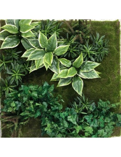 JARDÍN VERTICAL CON PLANTAS C3