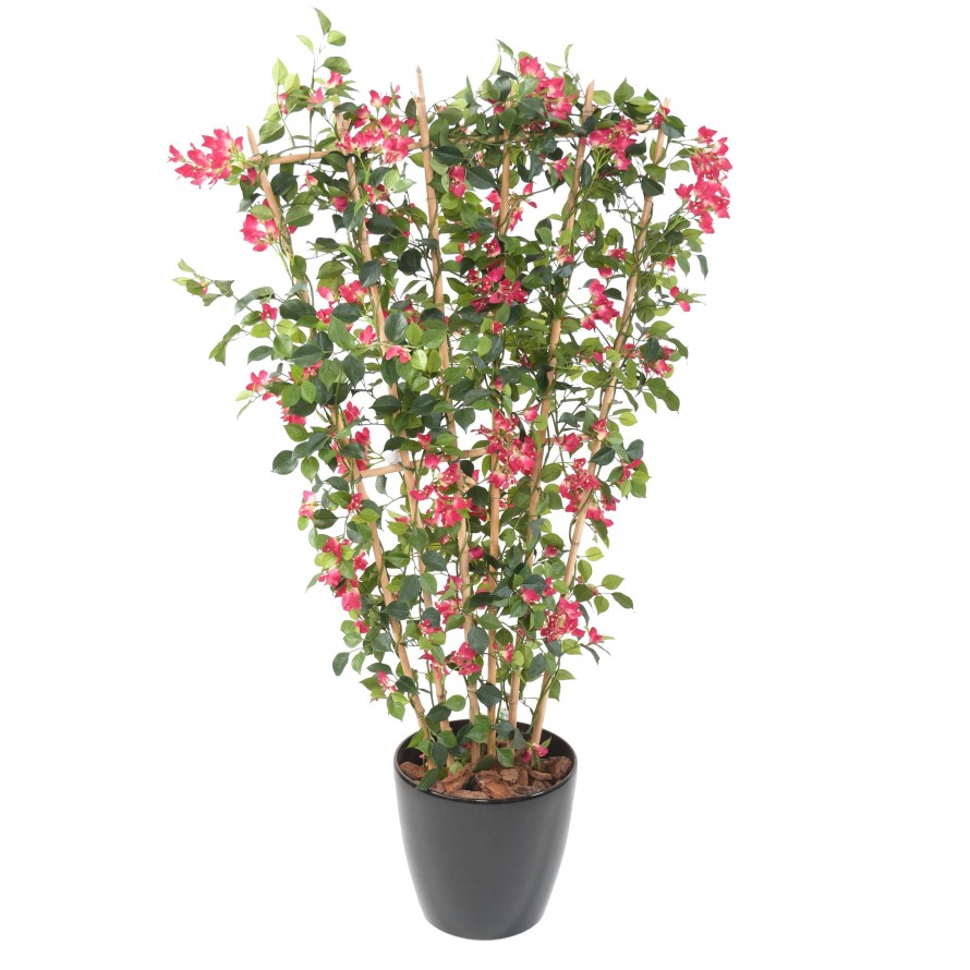 BOUGAINVILLEA (Drillingsblume) NEW SICHTSCHUTZMATTE IN BOLL